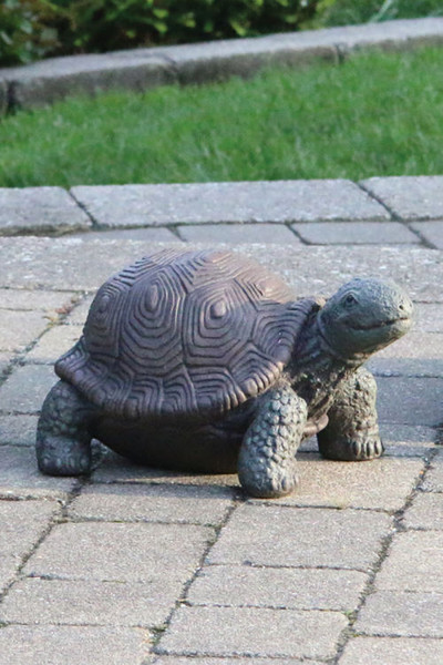 Tortoise Garden Sculpture Medium Cement Quality Outdoor Statue